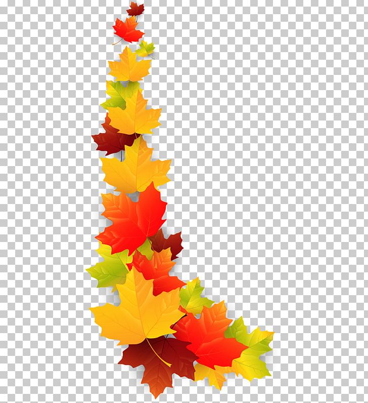 Maple Leaf Photography Decor PNG, Clipart, Autumn, Branch, Christmas Decoration, Christmas Ornament, Christmas Tree Free PNG Download