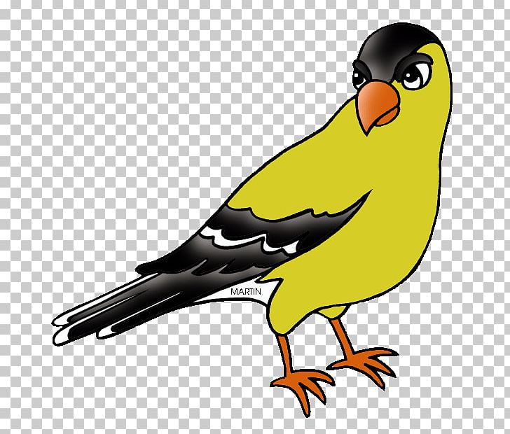 New Jersey European Goldfinch Bird PNG, Clipart, American Goldfinch, American Goldfinch Cliparts, Artwork, Beak, Bird Free PNG Download