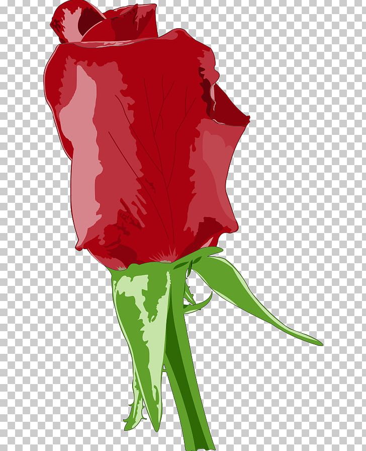 Rose Cdr Scalable Graphics PNG, Clipart, Adobe Illustrator, Blue Rose, Cdr, Cut Flowers, Fictional Character Free PNG Download
