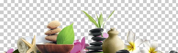 Stone Massage Day Spa Beauty Parlour PNG, Clipart, Aromatherapy, Banana, Beauty Parlour, Cosmetology, Cut Flowers Free PNG Download