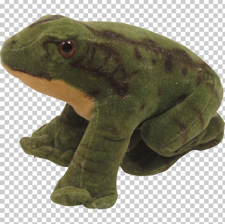 True Frog Toad Tree Frog Reptile PNG, Clipart, Amphibian, Animal, Animals, Fauna, Frog Free PNG Download