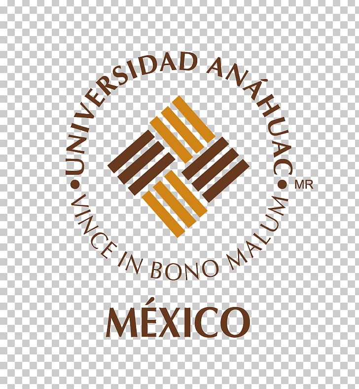 Universidad Anáhuac México Sur Universidad Anáhuac Cancún Anahuac University Network PNG, Clipart,  Free PNG Download