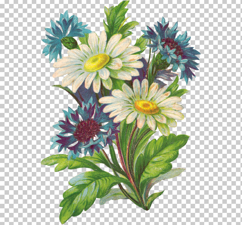 Floral Design PNG, Clipart, African Daisy, Annual Plant, Artificial Flower, Aster, Bouquet Free PNG Download