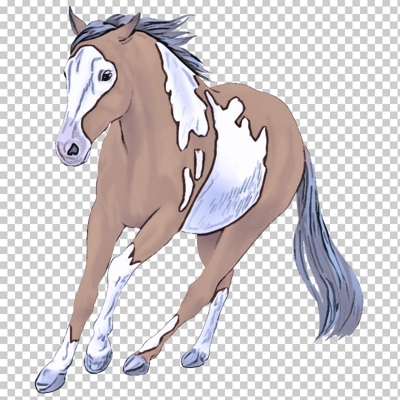 Foal Mustang Stallion Pony Mane PNG, Clipart, Bridle, Colt, Foal, Horse, Horse Management Free PNG Download