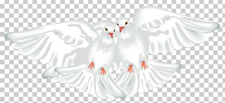 Columbidae Rock Dove Bird Doves As Symbols PNG, Clipart, Animals, Artwork, Beak, Bird, Body Jewelry Free PNG Download