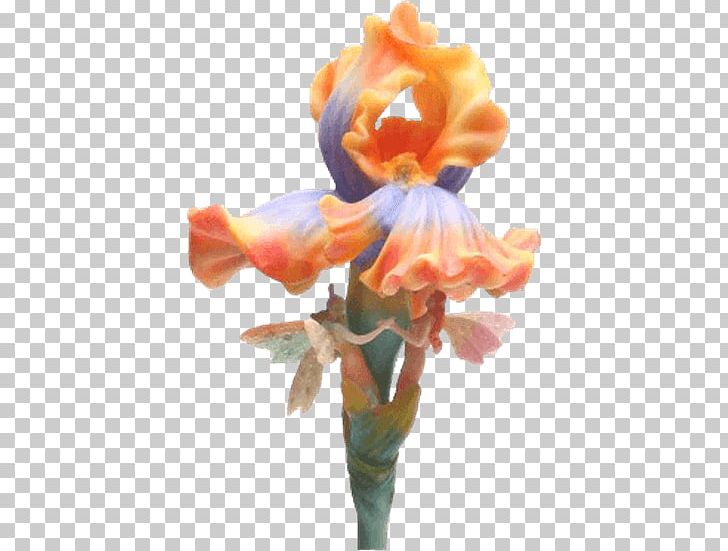 Fairy Flower Fairies Plant Stem PNG, Clipart, Arumlily, Canna Lily, Collectable, Cut Flowers, Fairy Free PNG Download