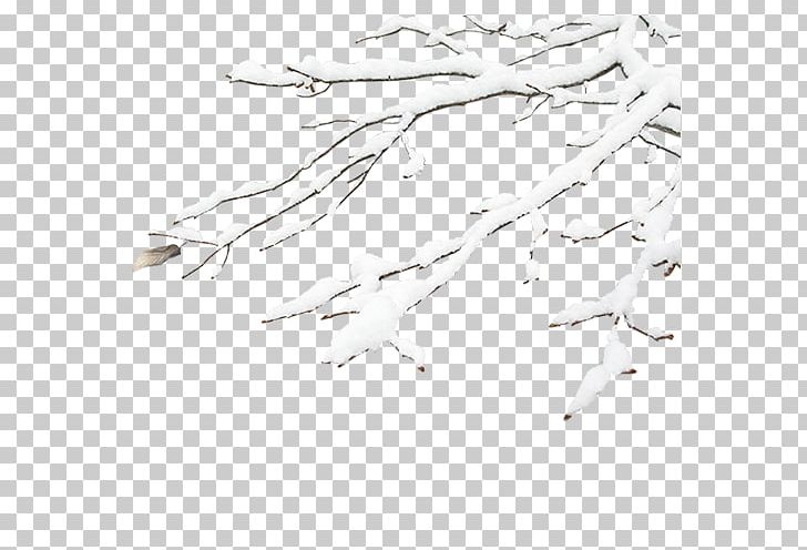 Winter Black And White Snow PNG, Clipart, Angle, Area, Branch, Branches, Download Free PNG Download