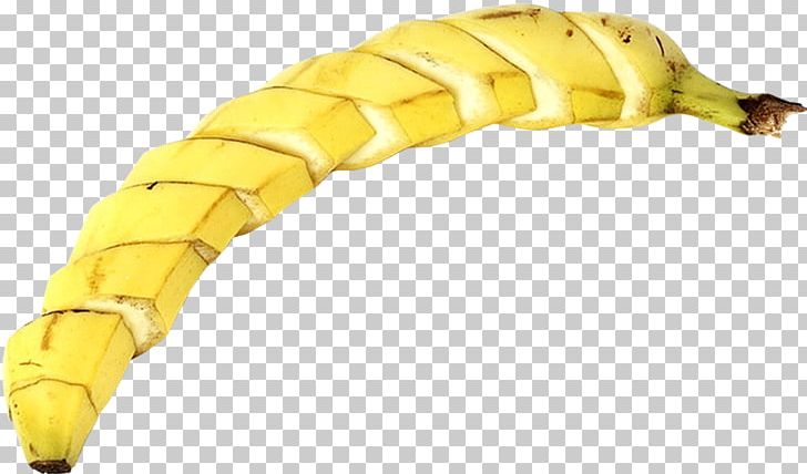 Banana Insect Larva Invertebrate PNG, Clipart, Banana, Banana Family, Beauty, Child, Female Free PNG Download