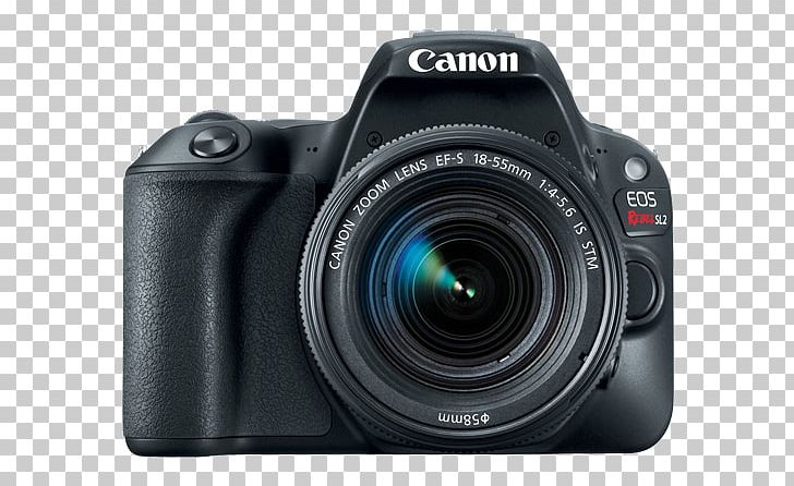 Canon Eos Rebel SL2 DSLR Camera With 18-55mm + 75-300mm Dual Zoom Lens Kit Pro Bundle Canon EOS Rebel SL2 24.2 MP SLR PNG, Clipart,  Free PNG Download
