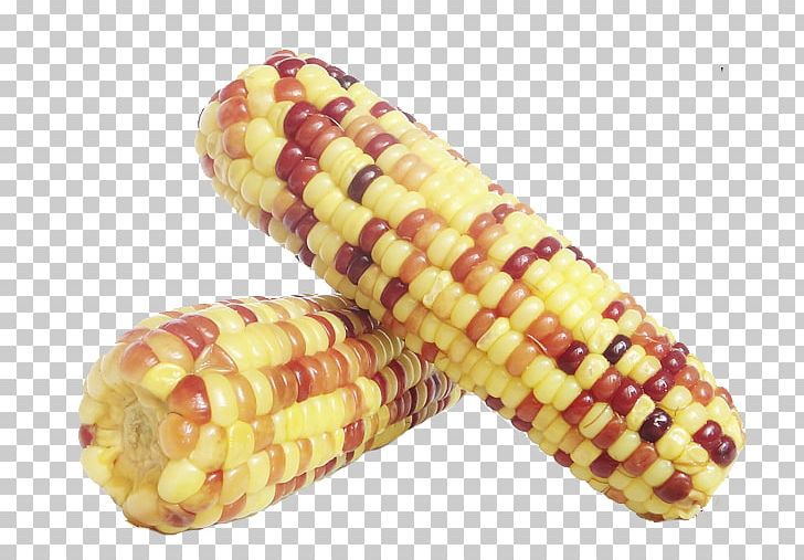 Waxy Corn Corn On The Cob Corn Kernel Sweet Corn Food PNG, Clipart, American Food, Cob, Colo, Color, Color Pencil Free PNG Download