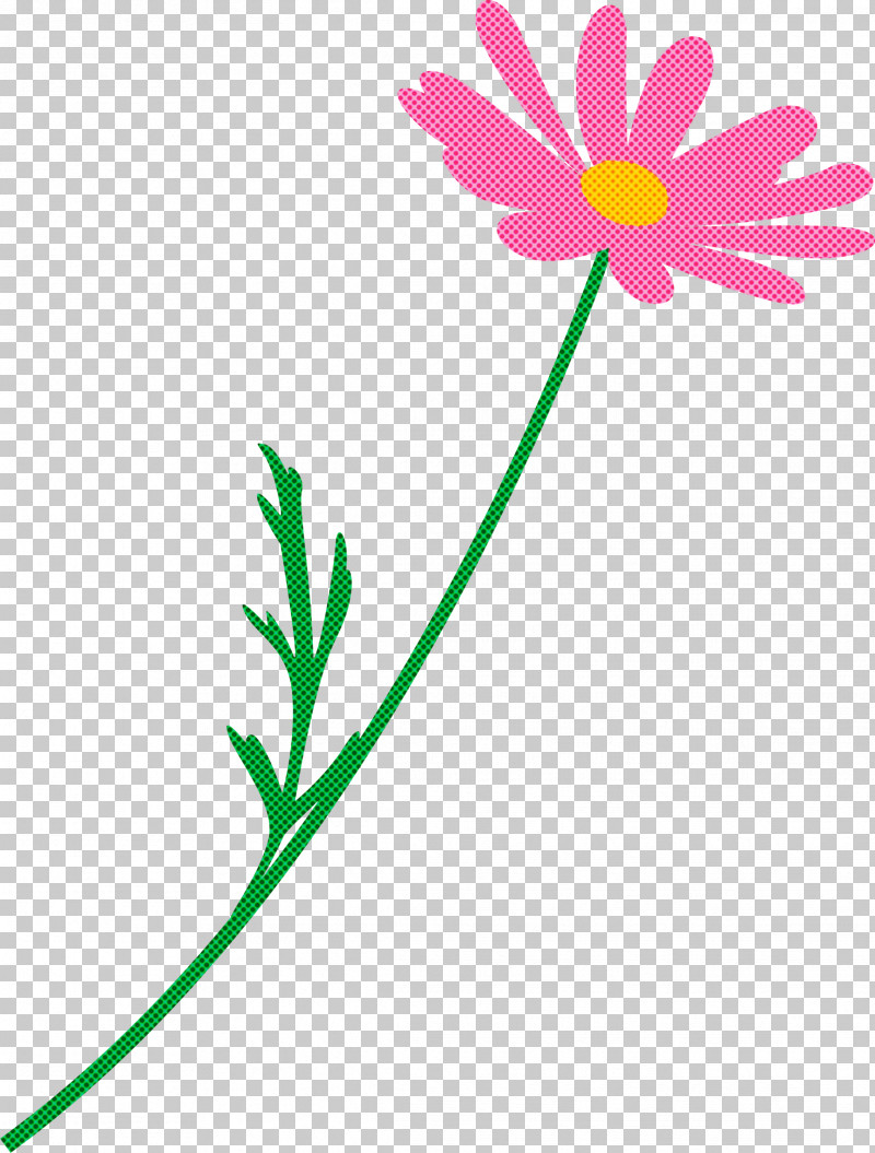 Marguerite Flower Spring Flower PNG, Clipart, Chamomile, Daisy Family, Flower, Marguerite Flower, Pedicel Free PNG Download