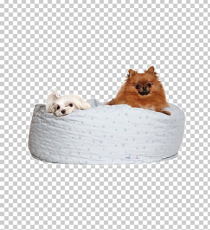 Dog Breed Pomeranian Puppy Companion Dog Bed PNG, Clipart, Animals, Bed, Breed, Companion Dog, Dog Free PNG Download