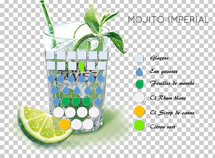 Drinking Water Mojito Lemon Lime PNG, Clipart, Drink, Drinking, Drinking Water, Food Drinks, Lemon Free PNG Download