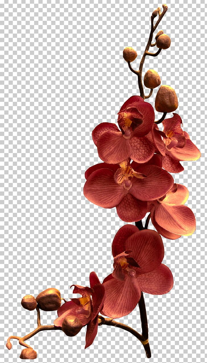 Orchids Watercolor Painting Flower PNG, Clipart, Branch, Color, Comic, Cut Flowers, Drawing Free PNG Download