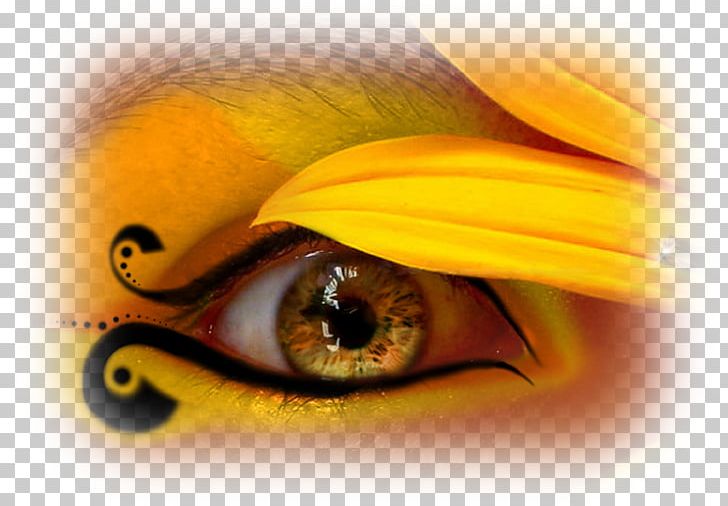 Red Eye Color Desktop PNG, Clipart,  Free PNG Download