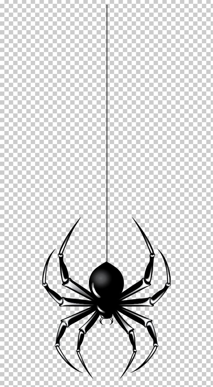 Spider Halloween Png Clipart Black And White Ceiling