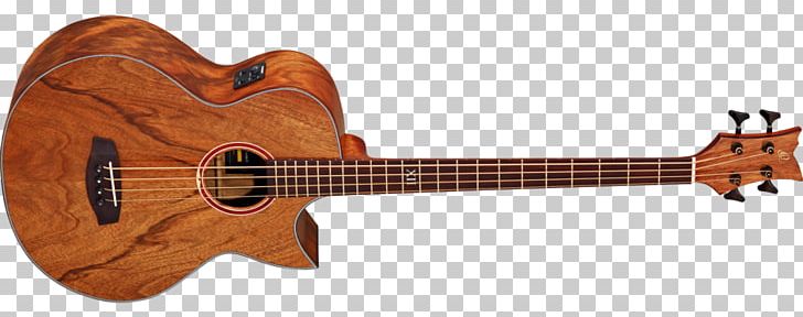 Acoustic Guitar Bass Guitar Ukulele Tiple Cuatro PNG