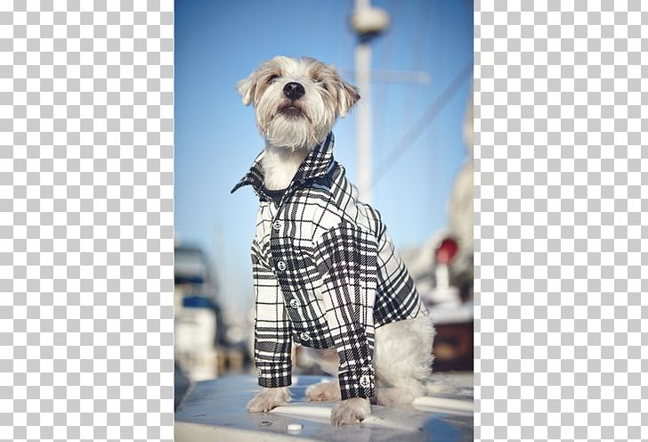 Dog Breed Schnoodle Tartan Snout Outerwear PNG, Clipart, Breed, Carnivoran, Dog, Dog Breed, Dog Clothes Free PNG Download
