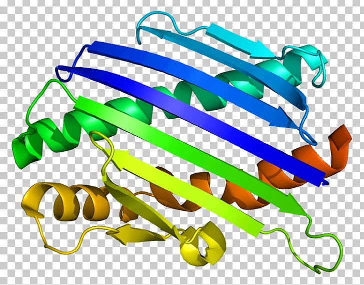 Endothelial Protein C Receptor Protein Structure PNG, Clipart, Cd1, Cd30, Cell Surface Receptor, Endothelium, Glycosylation Free PNG Download