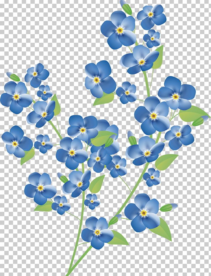 Flower PNG, Clipart, Blue, Bluebonnet, Borage Family, Branch, Can Stock Photo Free PNG Download