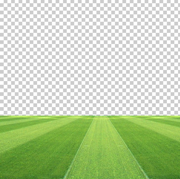 Football Pitch Grassland Stadium PNG, Clipart, Artificial Turf, Computer, Computer Wallpaper, Download, Field Free PNG Download