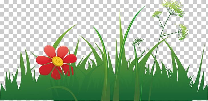 Grass Euclidean Herbaceous Plant Element PNG, Clipart, Beautiful Vector, Chemical Element, Computer Wallpaper, Flower, Flowers Free PNG Download