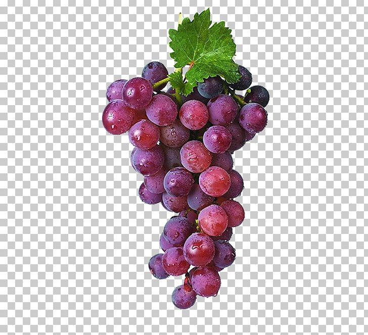 Kyoho Juice Sultana Grape Frutti Di Bosco PNG, Clipart, Bunch, Bunch Of Grapes, Drink, Extract, Food Free PNG Download