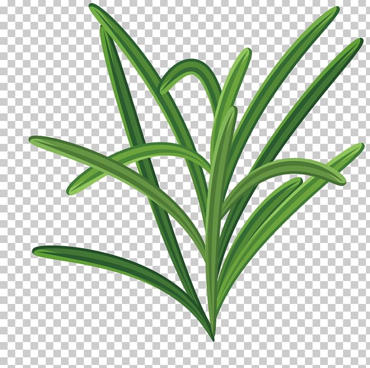 Leaf Herbaceous Plant PNG, Clipart, Animation, Background Green, Encapsulated Postscript, Euclidean Vector, Flower Free PNG Download