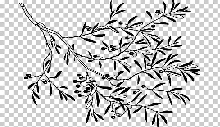 Olive Branch PNG, Clipart, Area, Black, Black And White, Branch, Drawing Free PNG Download