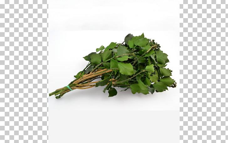 Spring Greens Rapini Rose PDF PNG, Clipart, Flower, Flowers, Hedera, Herb, Leaf Vegetable Free PNG Download