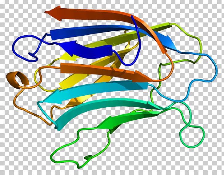 Galectin-3 Protein Gene PNG, Clipart, Angiogenesis, Area, Basic Fibroblast Growth Factor, Diabetes Mellitus, Dna Free PNG Download