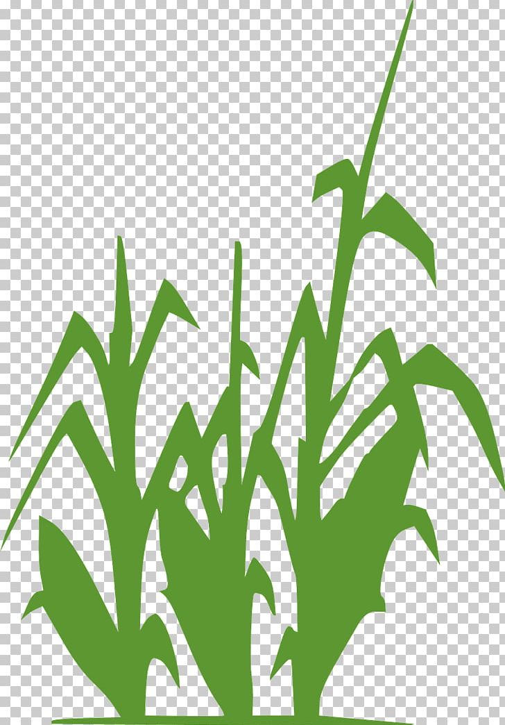 Maize Drawing PNG, Clipart, City Silhouette, Crop, Dog Silhouette, Download, Food Free PNG Download