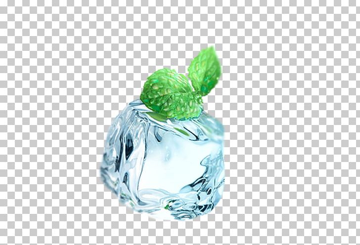 Mentha Canadensis Water Mint Ice Cube PNG, Clipart, Coreldraw, Download, Dwg, Element, Encapsulated Postscript Free PNG Download