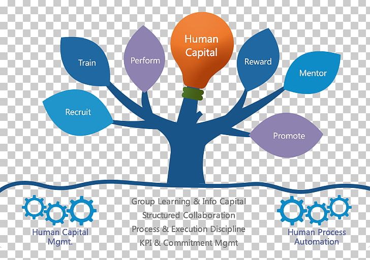 Organization Human Resource Management System PNG, Clipart, Brand, Capital, Communication, Diagram, Graphic Design Free PNG Download