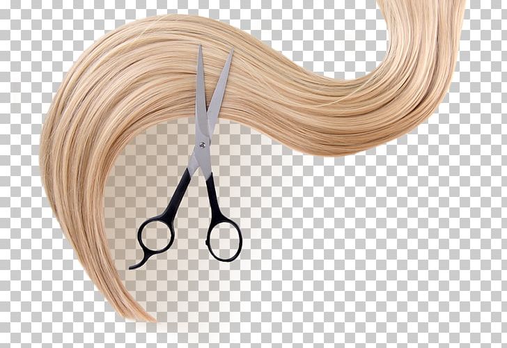 Neck PNG, Clipart, Art, Hair Shear, Neck Free PNG Download