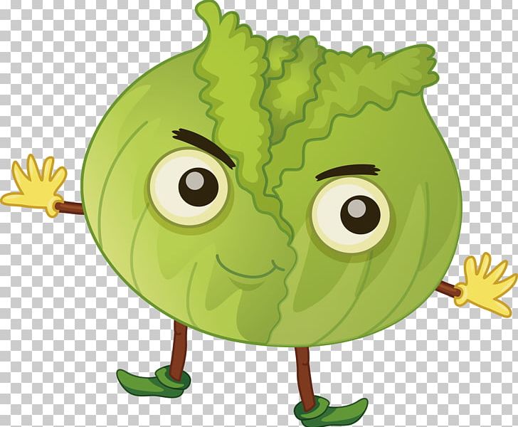 Cabbage Fruit PNG, Clipart, Auglis, Beak, Cabbage Vector, Cartoon, Cartoon Cabbage Free PNG Download