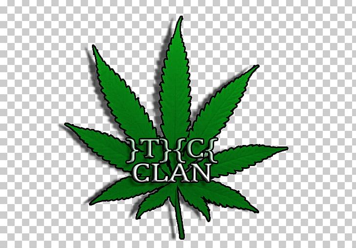 Medical Cannabis Leaf Cannabis Ruderalis Hemp PNG, Clipart, Cannabis, Cannabis Cultivation, Cannabis Ruderalis, Cannabis Sativa, Cannabis Smoking Free PNG Download