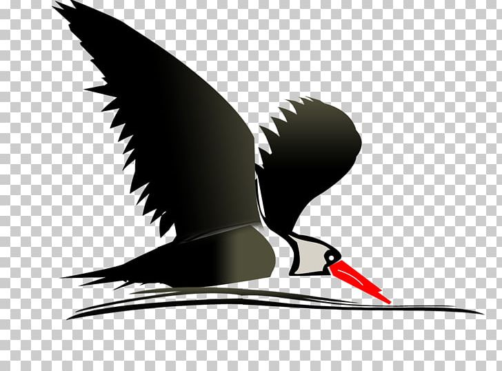 Uganda Birdwatching Safari PNG, Clipart, American Birding Association, Animals, Beak, Bird, Bird Watcher Free PNG Download