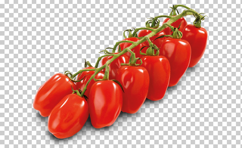 Tomato PNG, Clipart, Bell Pepper, Bush Tomato, Capsicum, Cherry Tomatoes, Chili Pepper Free PNG Download