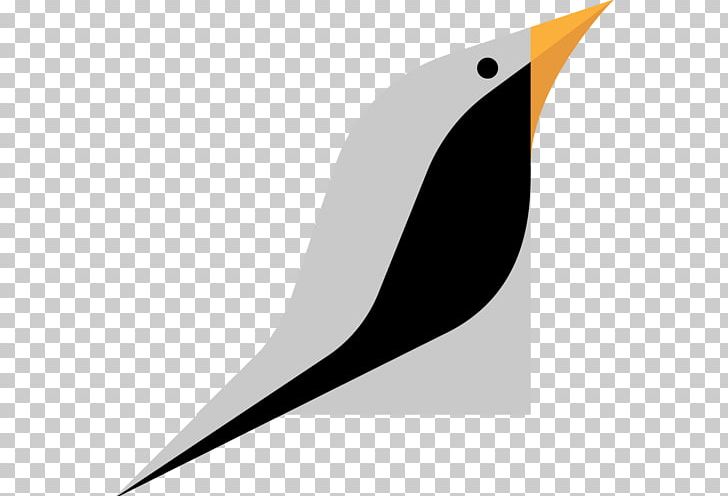 Bird Beak PNG, Clipart, Animal, Animals, Beak, Bird, Leaf Free PNG Download