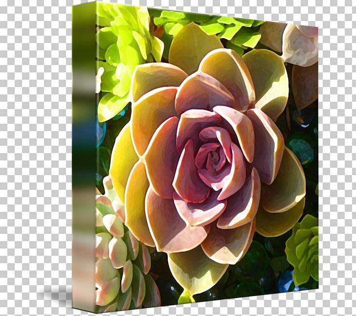 Canvas Print Painting Art Succulent Plant PNG, Clipart, Art, Canvas, Contemporary Art, Cut Flowers, Decorative Arts Free PNG Download