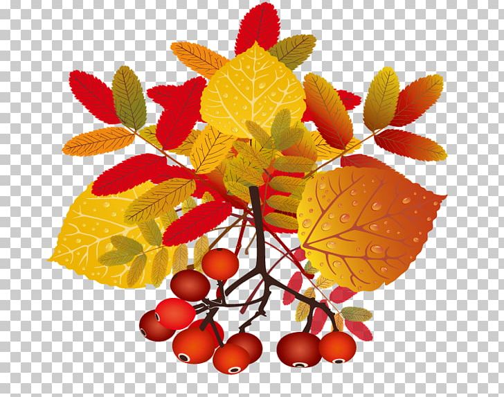 Leaf PNG, Clipart, Auglis, Autumn, Autumn Tree, Autumn Vector, Clip Art Free PNG Download
