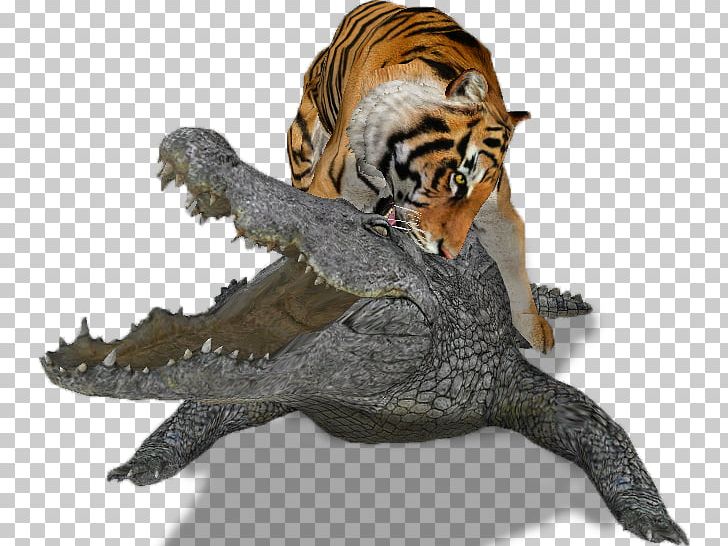 Nile Crocodile Bengal Tiger Lion Zoo Tycoon 2 PNG, Clipart, Animal, Animal Faceoff, Animals, Bengal Tiger, Big Cats Free PNG Download