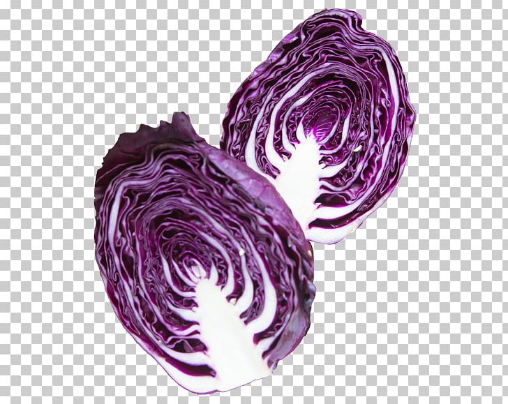 Red Cabbage Purple Vegetable Coleslaw PNG, Clipart, Brassica Oleracea, Cabbage, Chinese Cabbage, Coleslaw, Cooking Free PNG Download