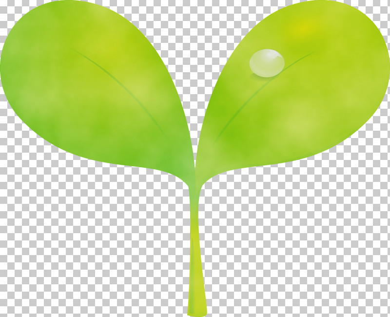 Green Leaf Plant Tree Plant Stem PNG, Clipart, Bud, Flower, Flush, Green, Leaf Free PNG Download