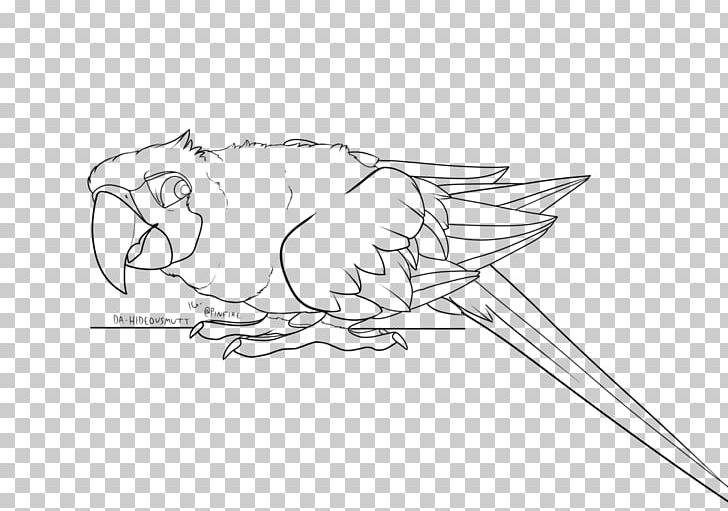 Beak Macaw Sketch PNG, Clipart, Angle, Art, Artist, Artwork, Base Free PNG Download