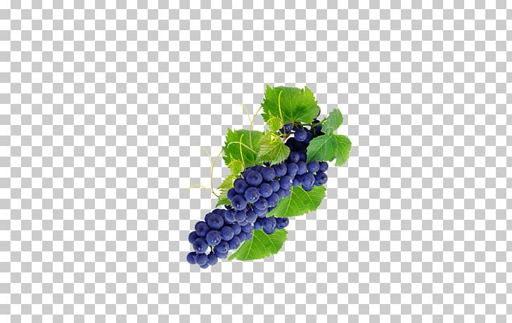 Grape Fruit Computer File PNG, Clipart, Auglis, Black Grapes, Computer Wallpaper, Designer, Download Free PNG Download