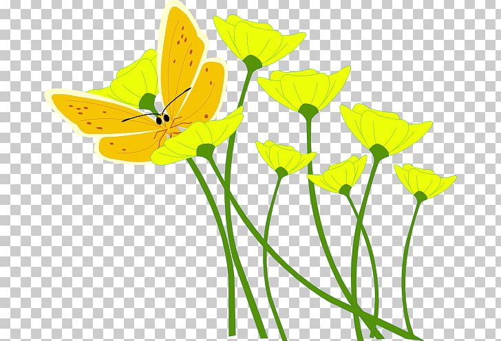 Flower Yellow Poppy PNG, Clipart, Annual Plant, Brush Footed Butterfly, Color, Computer Icons, Flora Free PNG Download