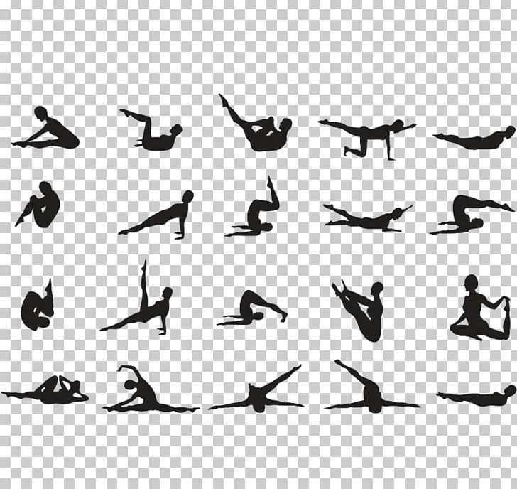 Pilates + Yoga Exercise Posture Stretching PNG, Clipart, Animal Migration, Beak, Bird, Bird Migration, Black And White Free PNG Download