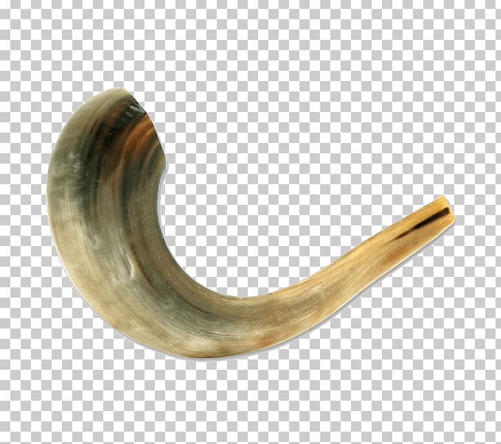 Shofar Sheep Kuduhorn Rosh Hashanah PNG, Clipart, Animals, Blowing Horn, Brass, Horn, Kudu Free PNG Download